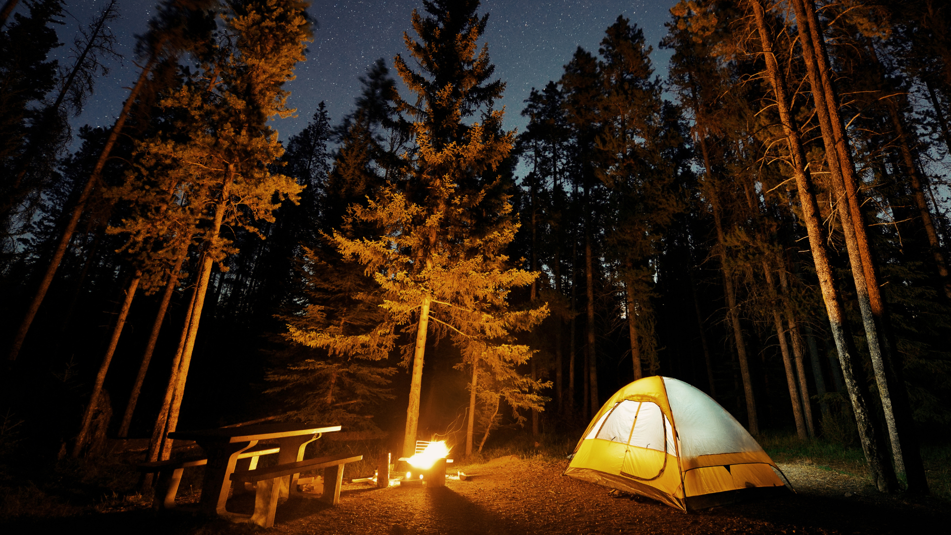 Zelt im nächtlichen Wald – eine stille Nacht draußen, wenn der Tag vorbei ist.
